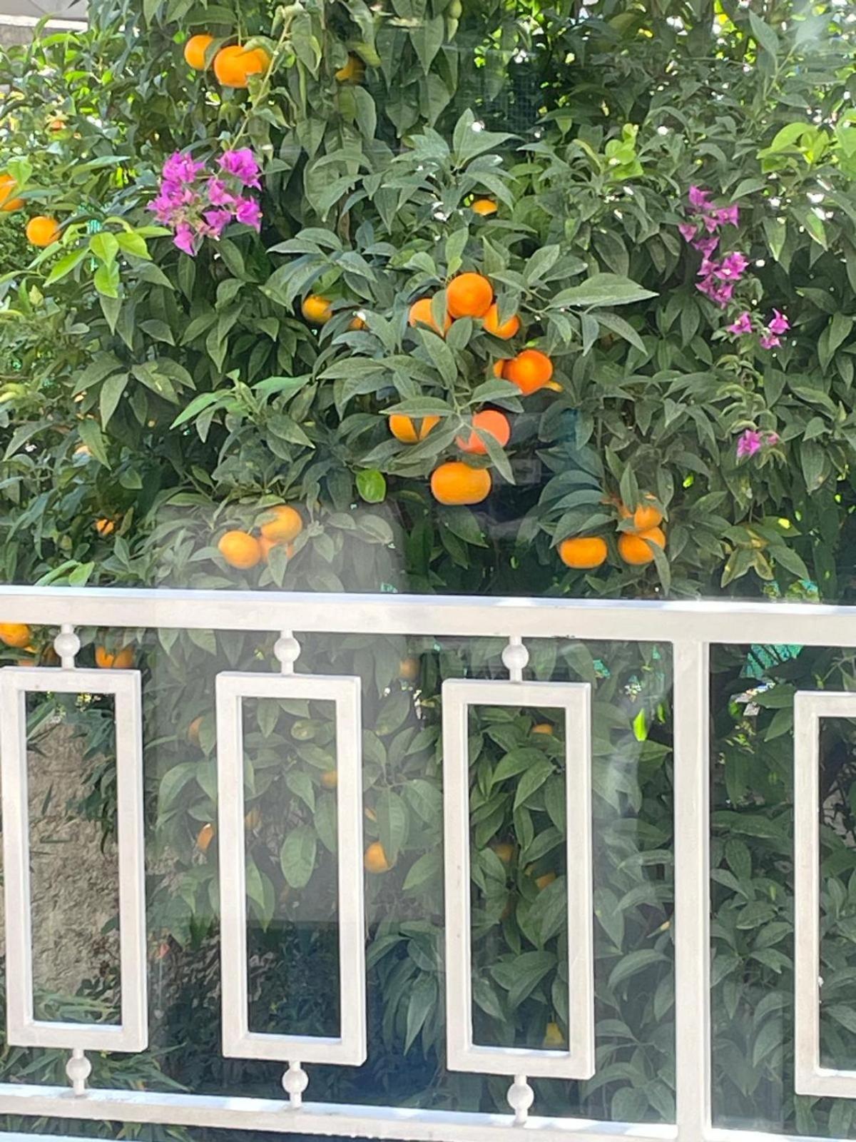 Apartment Superbe 3p 2chambres, 2terrasses Centre-ville, 4 Min A Pied De La Croisette Sas-meredith Loc *
